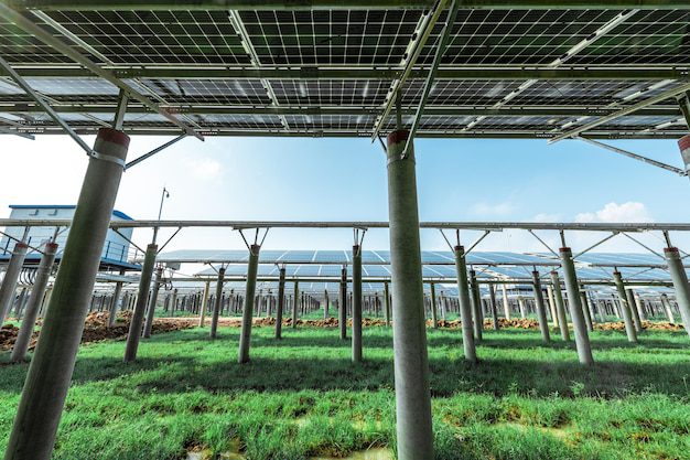 Cum influențează tipul de sol stabilitatea structurilor de susținere pentru panouri